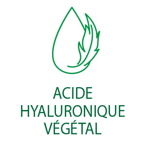 acide hyaluronique végétal