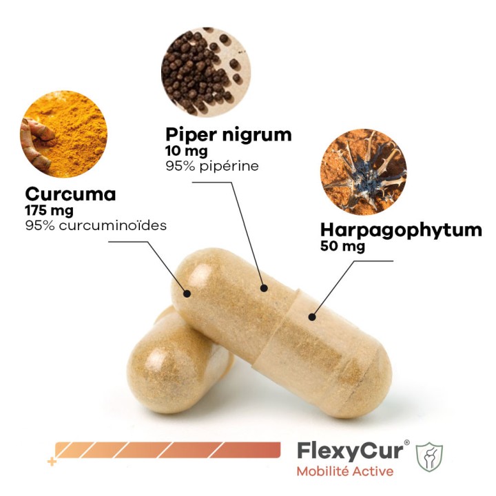 Composition FlexyCur Bouclier anti-inflammatoire des articulations