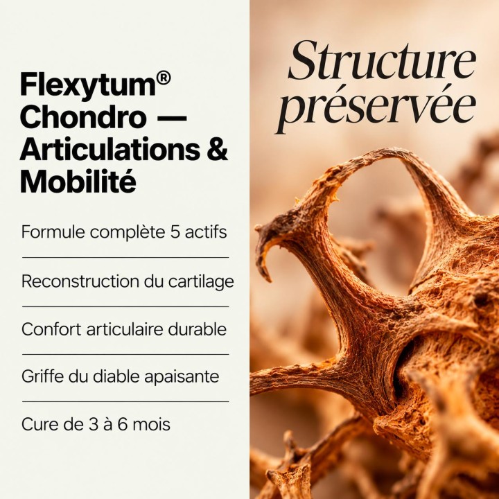 points forts Flexytum Chondro articulations et cartilages Nutrinia