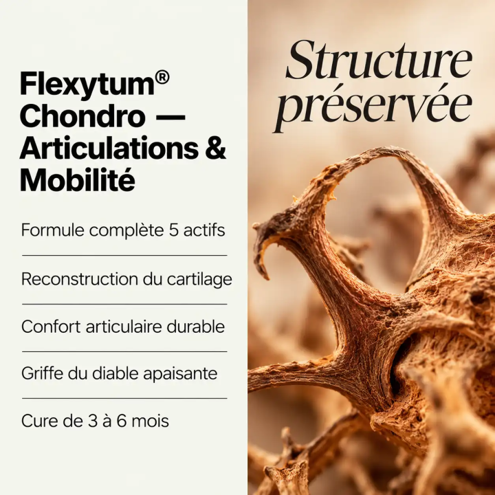 Points forts Flexytum® Chondro Nutrinia