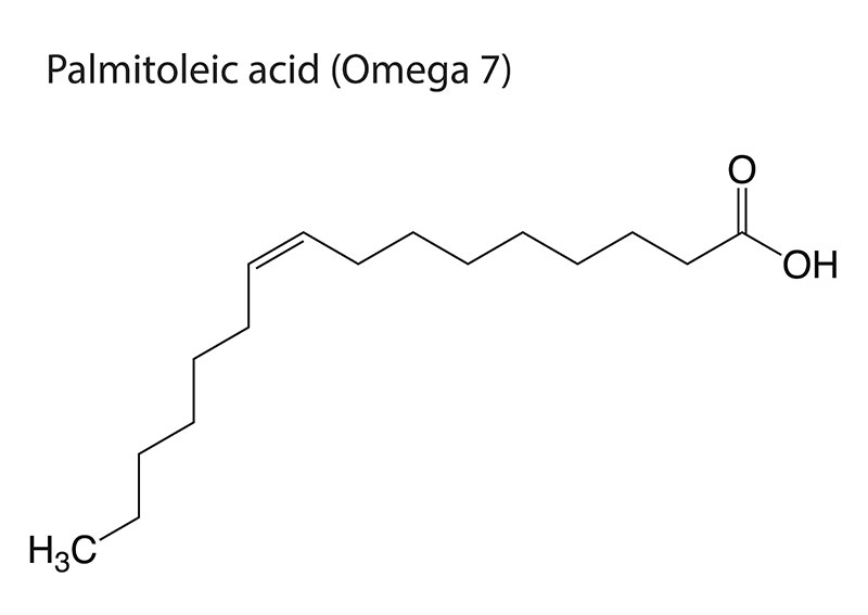 acide palmitoléique Omega 7