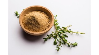 Le bacopa, la plante anti stress Nutrinia