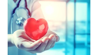 Les Omega 7 et la Santé Cardiovasculaire : Comment ils Peuvent Favoriser un Cœur en Bonne Santé Nutrinia