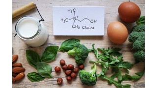 Quels sont les bienfaits santé de la choline ? Nutrinia