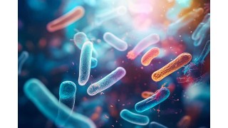 Probiotiques, prébiotiques, postbiotiques, symbiotiques Nutrinia