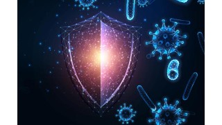 Le système immunitaire Nutrinia