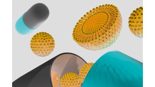 La Vitamine C Liposomale : meilleure que la vitamine C classique ? Nutrinia