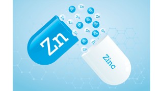 Les Bienfaits Santé du Zinc Nutrinia