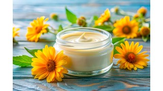 l'Arnica : Une Plante aux Multiples Vertus Nutrinia