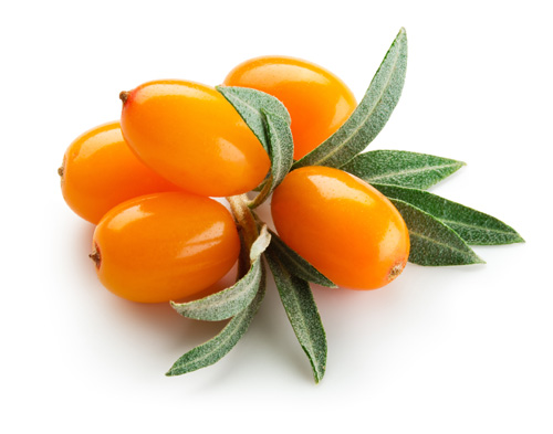 Les + ArgOméga® : une extraction écologique basse température